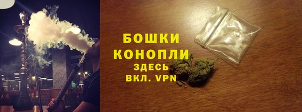 амф Мегион